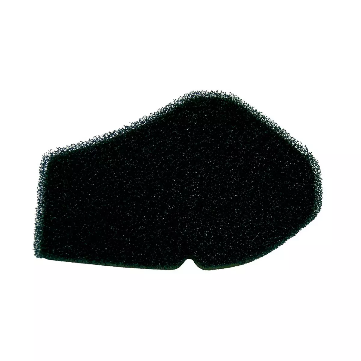 gmoto-1397652