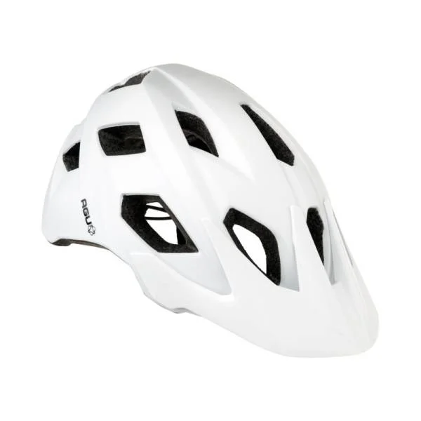hollandbikeshop1-1290394