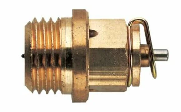 media.motoblouz4-161892