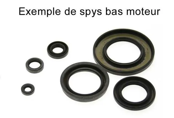 media.motoblouz5-651147